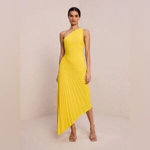 A.L.C. Delfina Matte Pleated Dress